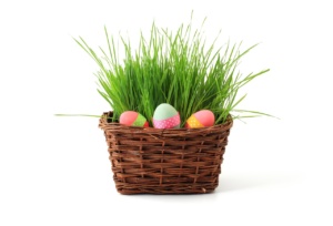Ruskeassa korissa pääsiäisruohoa ja kolme värikästä pääsiäismunaa.