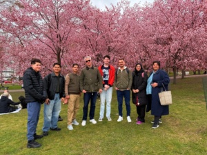A group of people under cherry trees.