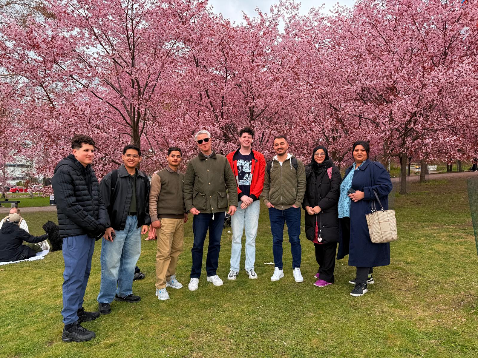 A group of people under cherry trees.