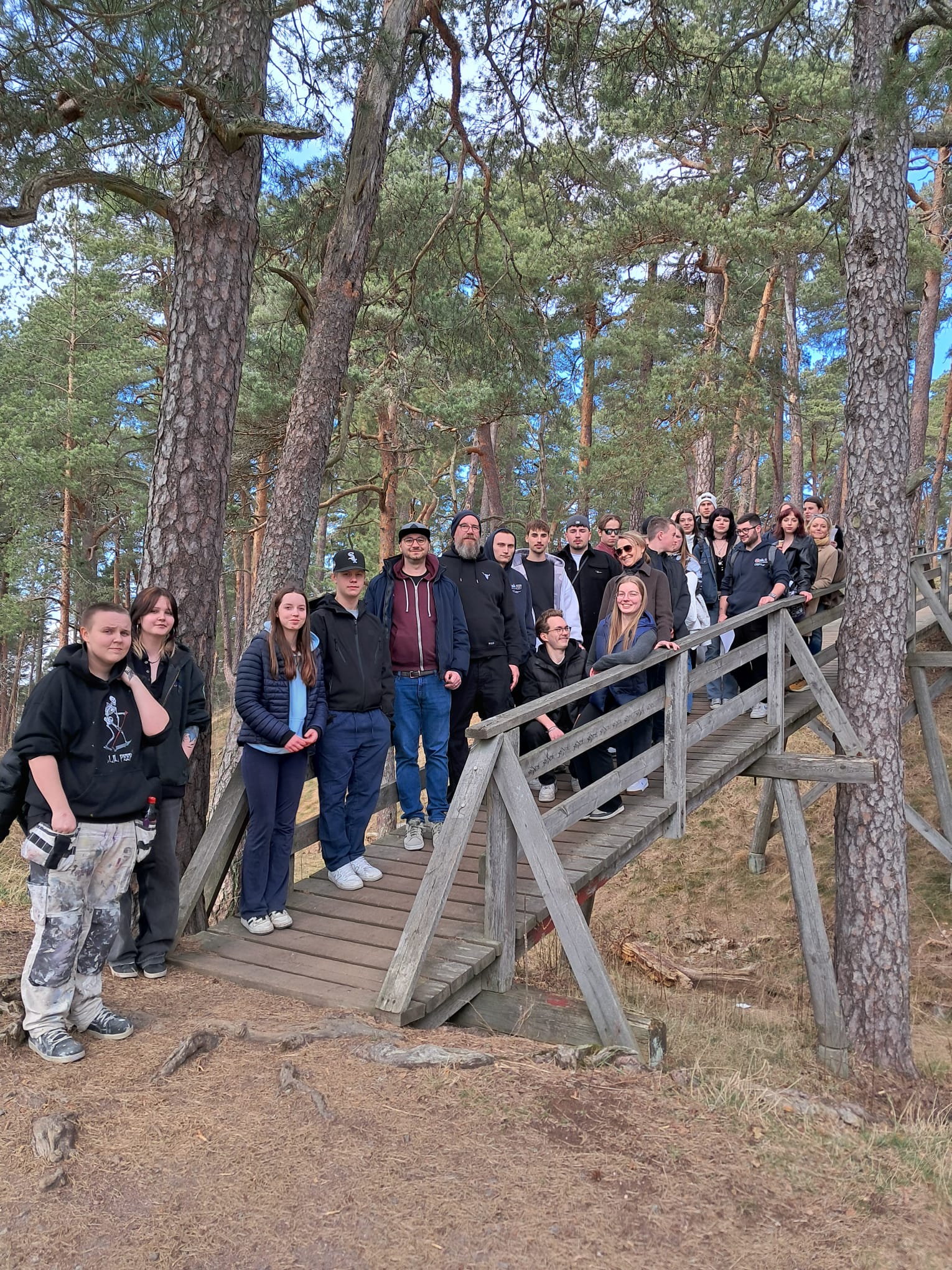 Joukko nuoria puusillalla mäntymetsässä.