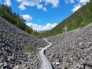 Pitkospuut kurun keskellä, taustalla tunturin reunat ja sininen taivas.
