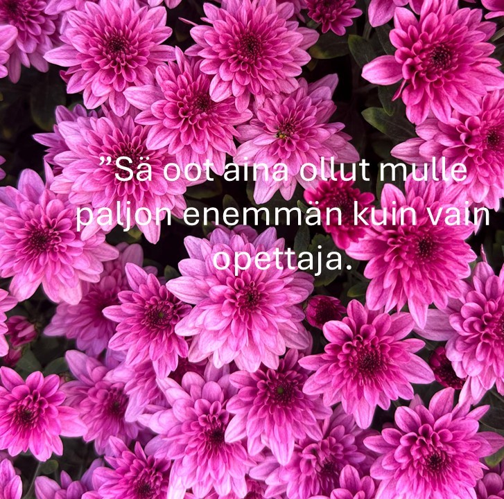 Punaisia krysanteemeja, joiden keskellä teksti: "Sä oot aina ollut mulle paljon enemmän kuin vain opettaja."